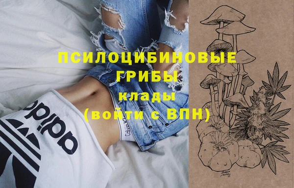 герыч Алзамай
